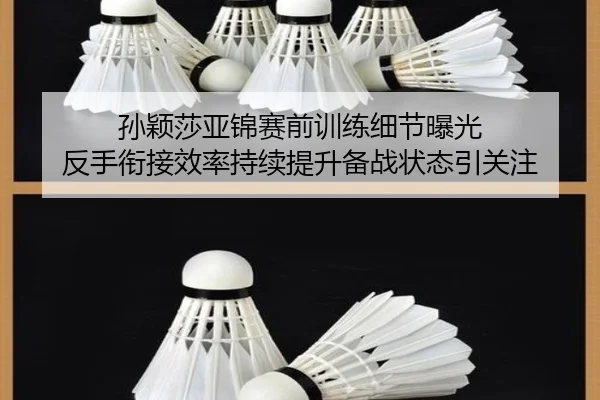 孙颖莎亚锦赛前训练细节曝光 反手衔接效率持续提升备战状态引关注