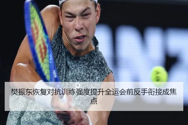 樊振东恢复对抗训练强度提升全运会前反手衔接成焦点
